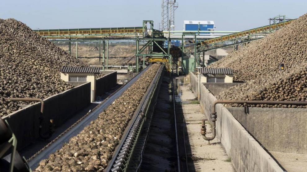 Se han transportado 600 toneladas de remolacha con destino a la planta de Azucarera en Miranda de Ebro.