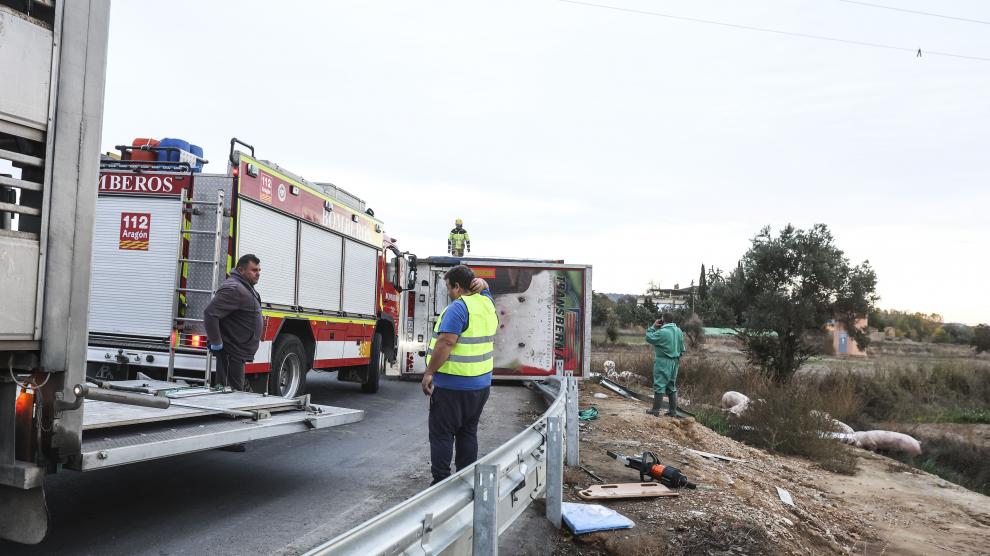 Hasta el lugar del accidente se han desplazado los Bomberos de Huesca, Guardia Civil y otro vehículo similar para recoger a los animales.
