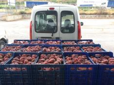 La Comarca del Bajo Cinca reclama apoyo para el sector de la fruta