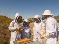 Cielos de Ascara pone la agricultura y la apicultura al servicio de la repoblación y la inserción social