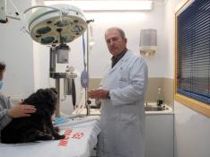 Clemente Castejón se dispone a atender a un perro en su clínica veterinaria. FOTO