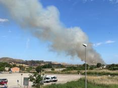 Incendio en el parque fluvial de la ribera del Cinca en Fraga