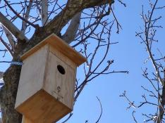 Una de las cajas nido instaladas en el entorno del Centro de Investigación y Experimentación en Truficultura de Graus.