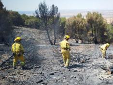 Miembros del operativo Infoar en labores de extinción en el incendio de Ateca.
