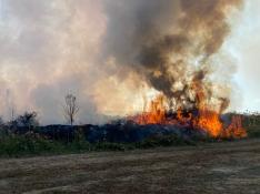 000Incendio entre Robres y Almuniente (4)