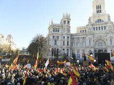 Los manifestantes recorrieron el centro de Madrid portando banderas del España.