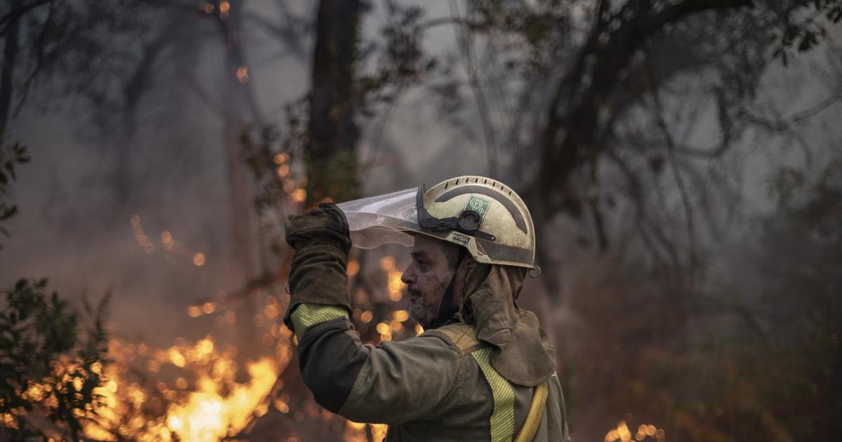 A política queima tanto quanto as florestas